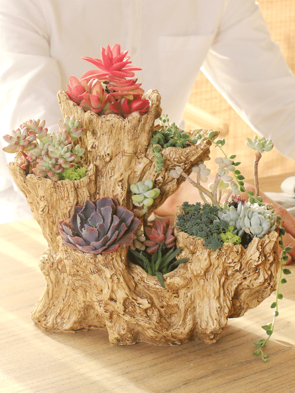 Vasi per piante con testa di cactus Contenitori per piante da casa 4